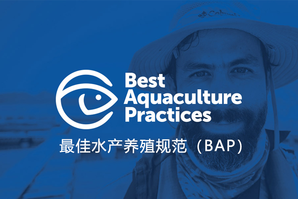 bap认证是什么意思?bap认证适用哪些产品?bap认证流程是什么?有什么好处?(图1) bap认证是什么意思?bap认证适用哪些产品?bap认证流程是什么?有什么好处?(图1)