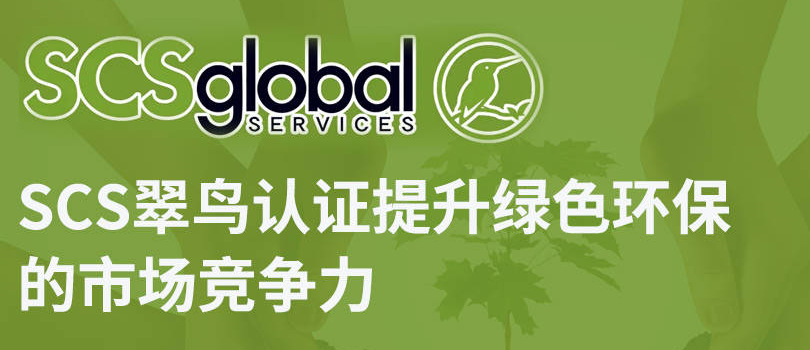 翠鸟认证是什么？翠鸟认证基础解读及认证流程(图1)