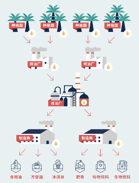 RSPO认证助推棕榈油产业可持续(图4)