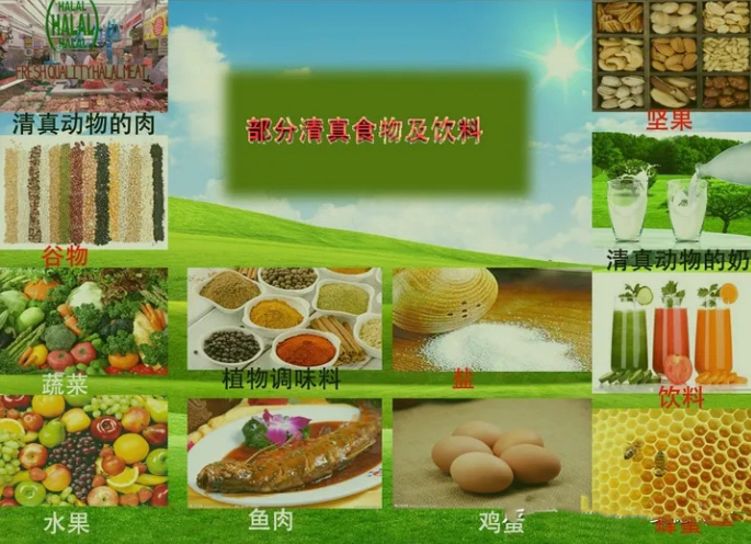 如何申请Halal认证？Halal认证要求及注意事项全面解析(图4)